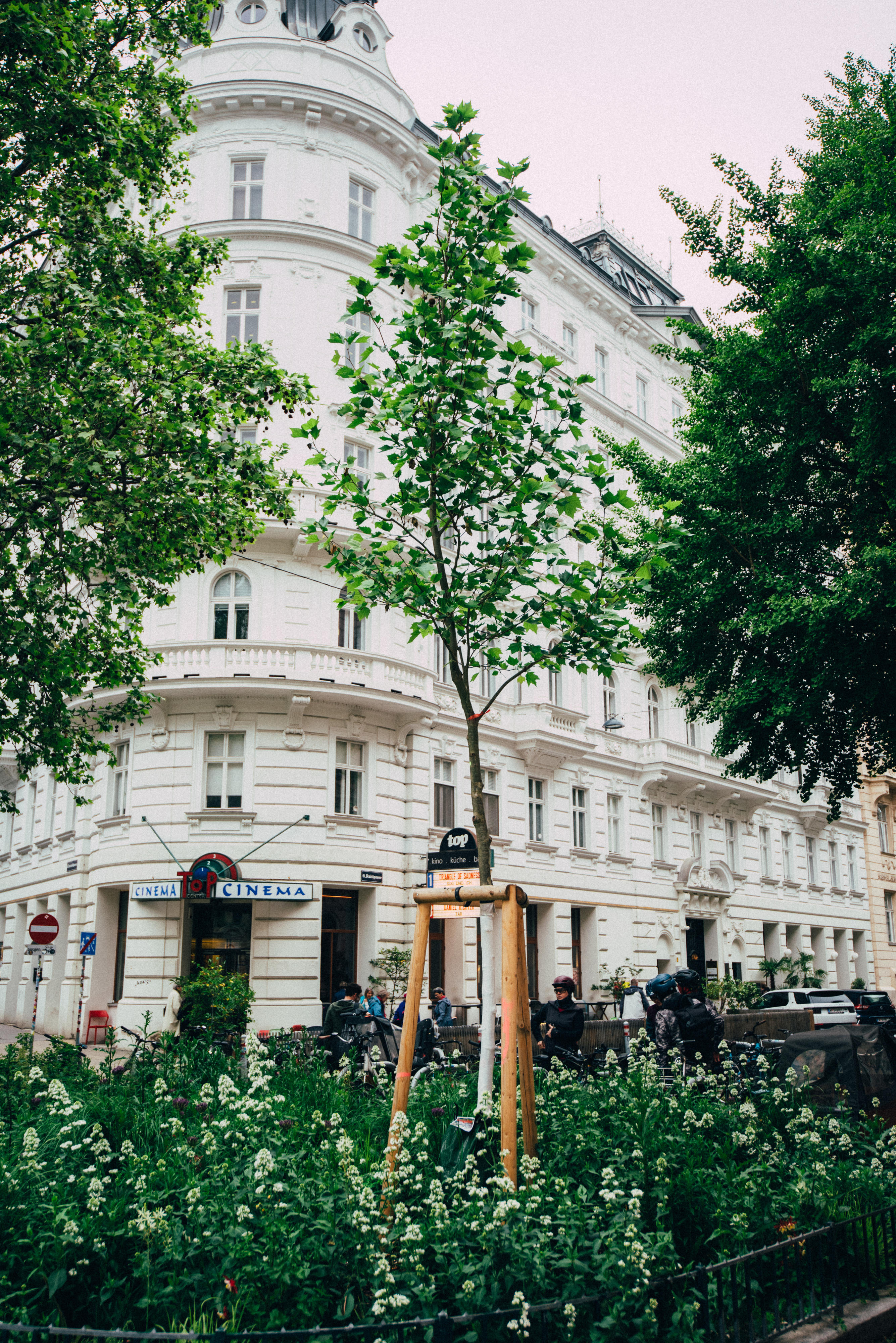 Vienna Shorts, Bäume, Rahlgasse