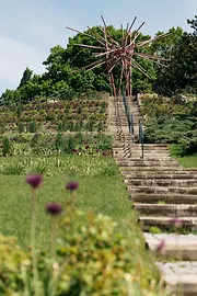 Kurpark Oberlaa, Rose Hill