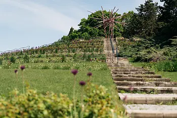 Kurpark Oberlaa, colline aux roses