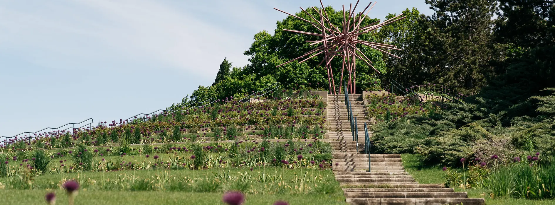Kurpark Oberlaa, Rose Hill