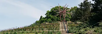 Kurpark Oberlaa, Colina de las Rosas