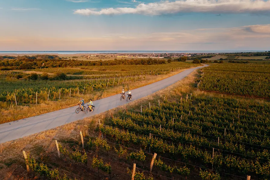 Landscape with cyclists