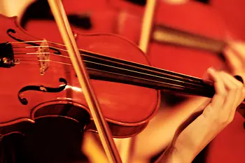 Musique, Musikverein