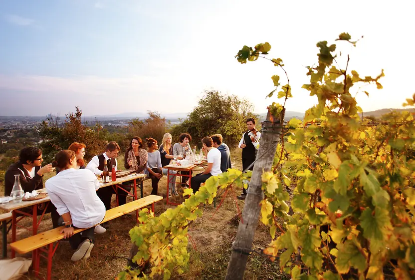Jóvenes bebiendo vino en el Weinberg