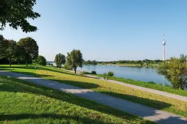 A Dunasziget a Duna-toronnyal