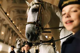 A Wiener Sängerknaben 