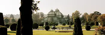 La Serre aux Palmiers dans le parc du château de Schönbrunn 