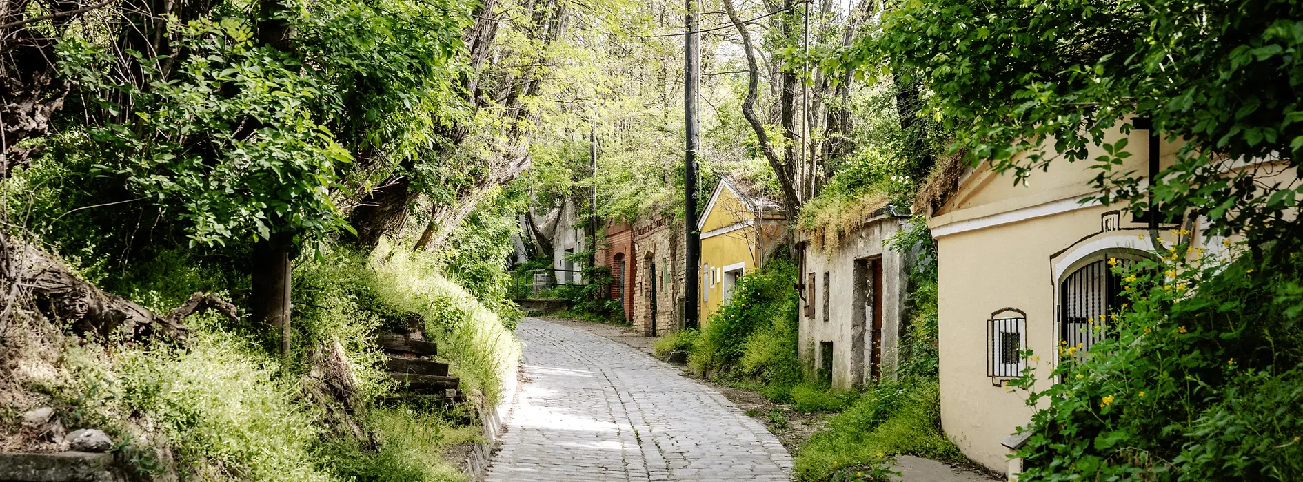 Улочка в винными погребами в Вене