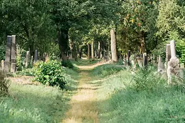 Central Cemetery