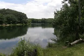 Cooling off in the Lobau