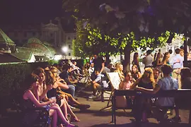 Party with the Vienna State Opera as a backdrop