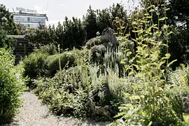 Vue sur le jardin alpin du Belvédère