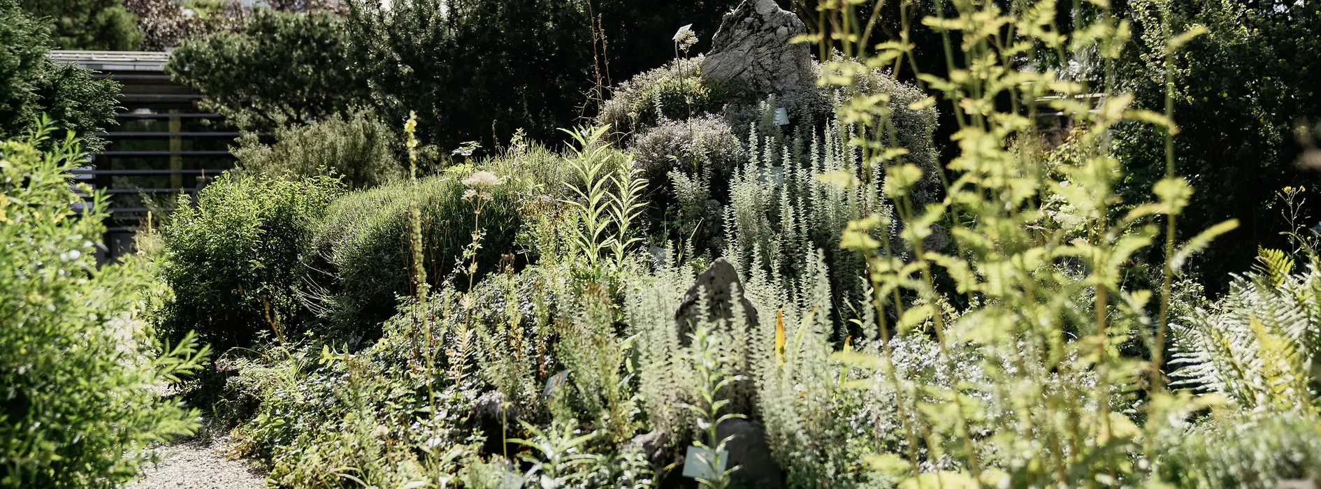 Kilátás a Belvedere alpesi kertjére