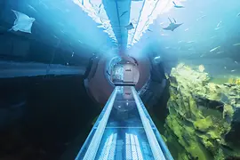 Atlantic Tunnel in the House of the Sea