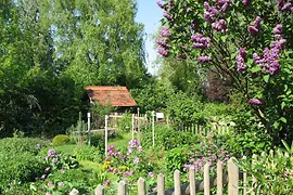 Farmer’s garden in the Kagran school gardens