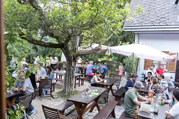 Wine tavern