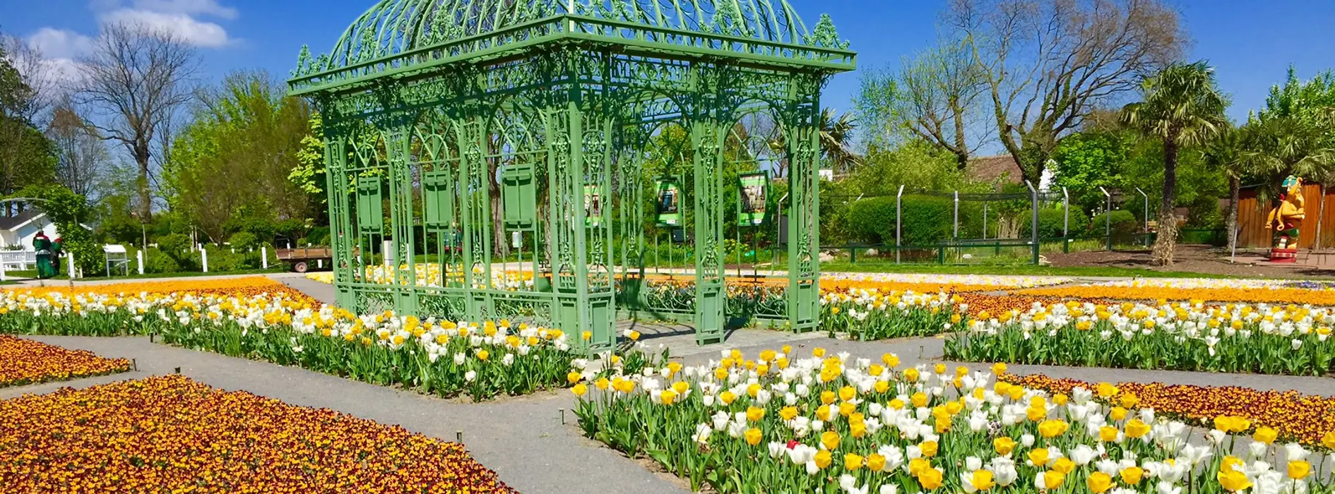 Blumenblüte in Hirschstetten 