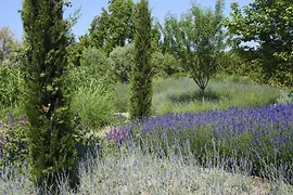 Ansicht Florarium Blumengärten Hirschstetten