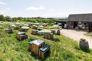Mayer Wine Tavern on Nussberg Hill