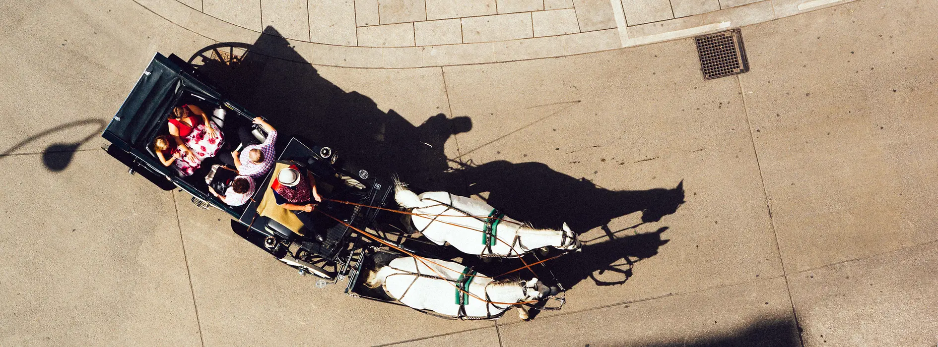 Horse-drawn carriage from above