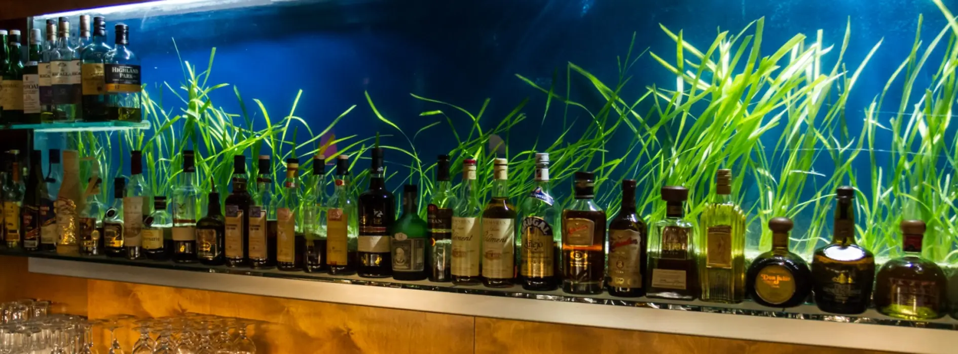 firstfloor cocktail bar