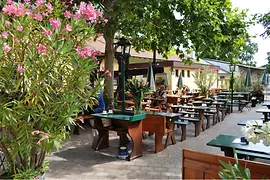 Heuriger & Bodega Karl Lentner, terraza con arbustos de adelfas