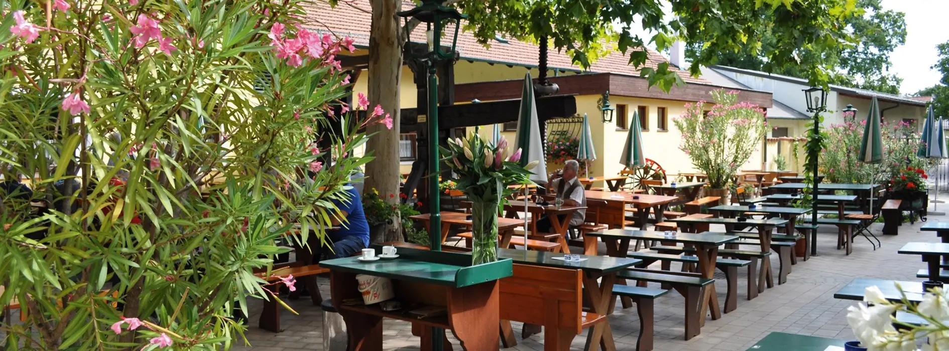 Winiarnia i winnica Karl Lentner, ogródek restauracyjny z krzewami oleandrów