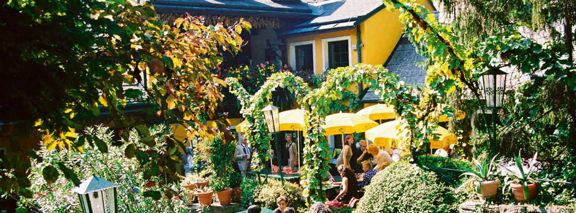 Heuriger Wolff, terraza