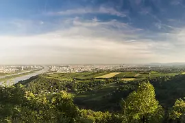Вид на Вену с Каленберга