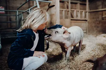 Children’s farm at Landgut Wien Cobenzl