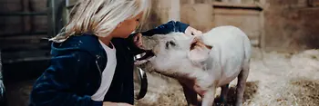 Children’s farm at Landgut Wien Cobenzl