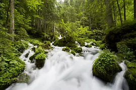 アルプス地方の湧き水