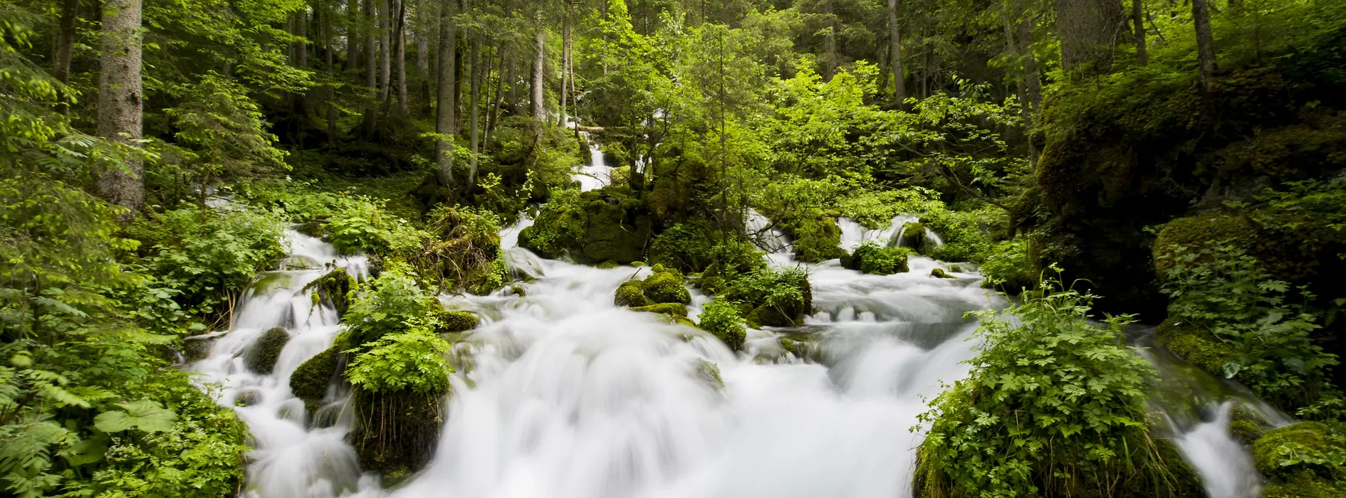 Source d'eau dans les Alpes