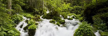 Water source in the high Alps