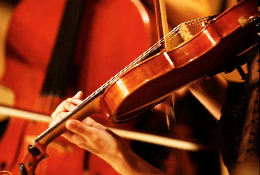 Violin player