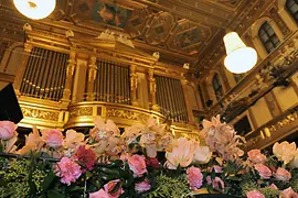 Musikverein, Złota Sala, dekoracje kwiatowe na Koncert Noworoczny, przed organami