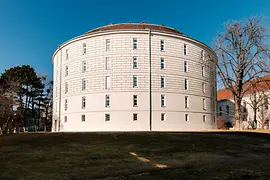 Colecţia patologică-anatomică în clădirea Narrenturm 2019