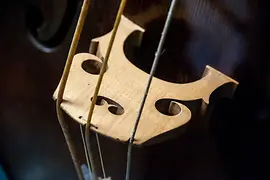 Sammlung alter Musikinstrumente, close-up violin - collection of old musical instruments
