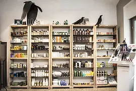 Innenansicht Shop stattGarten 