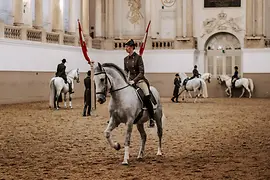 Spanish Riding School