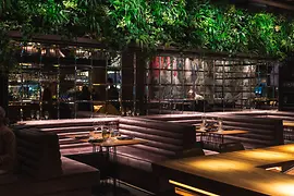 Spelunke, restaurant, intérieur