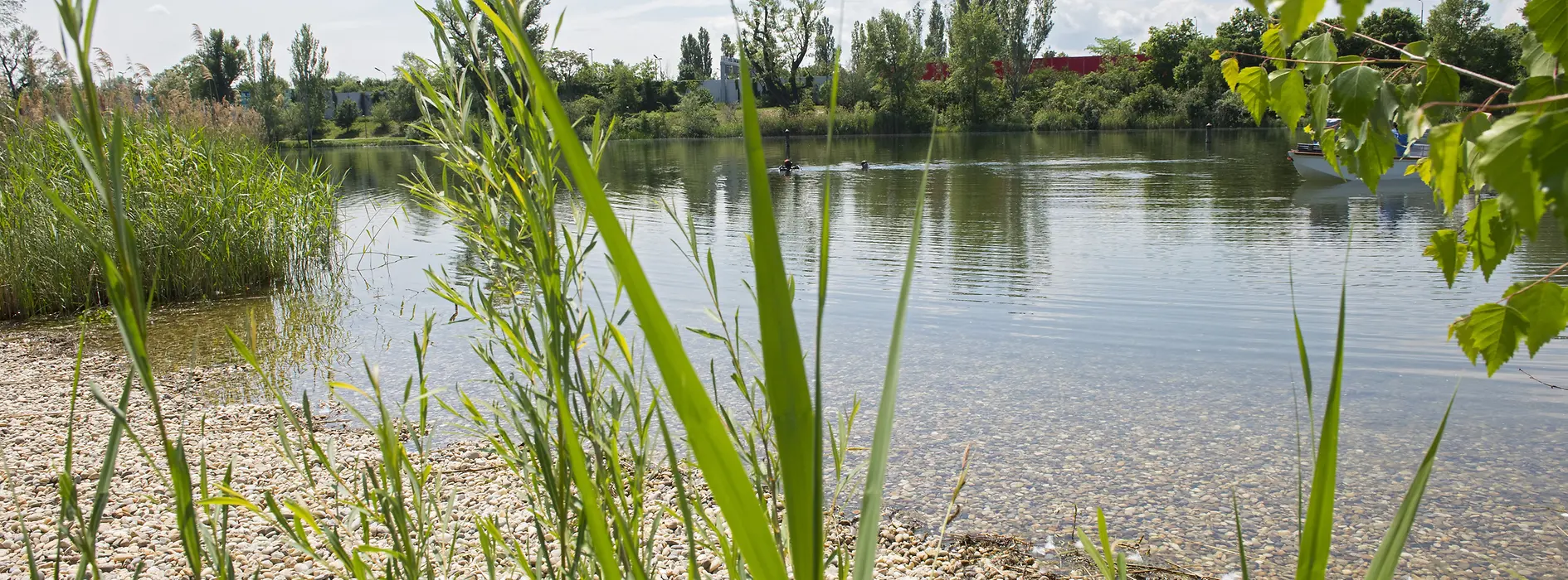 Strombucht shingle bank 