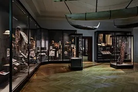 Vue de la salle d'exposition Mers du Sud et bateau suspendu au plafond