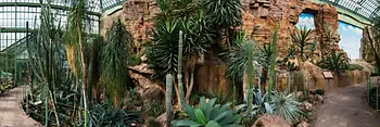 Cactus sur des roches dans la Maison du Désert