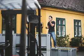 ブドウ収穫作業中のワインメーカー