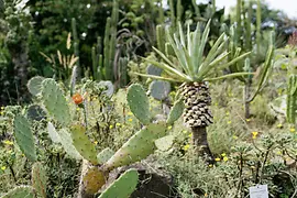 Botanical Garden