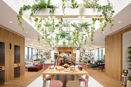 Zoku Vienna Skylight , Kindred Spirits Rooftop Bar, Innenansicht