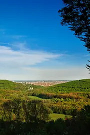 Wienerwald