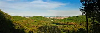 Wienerwald