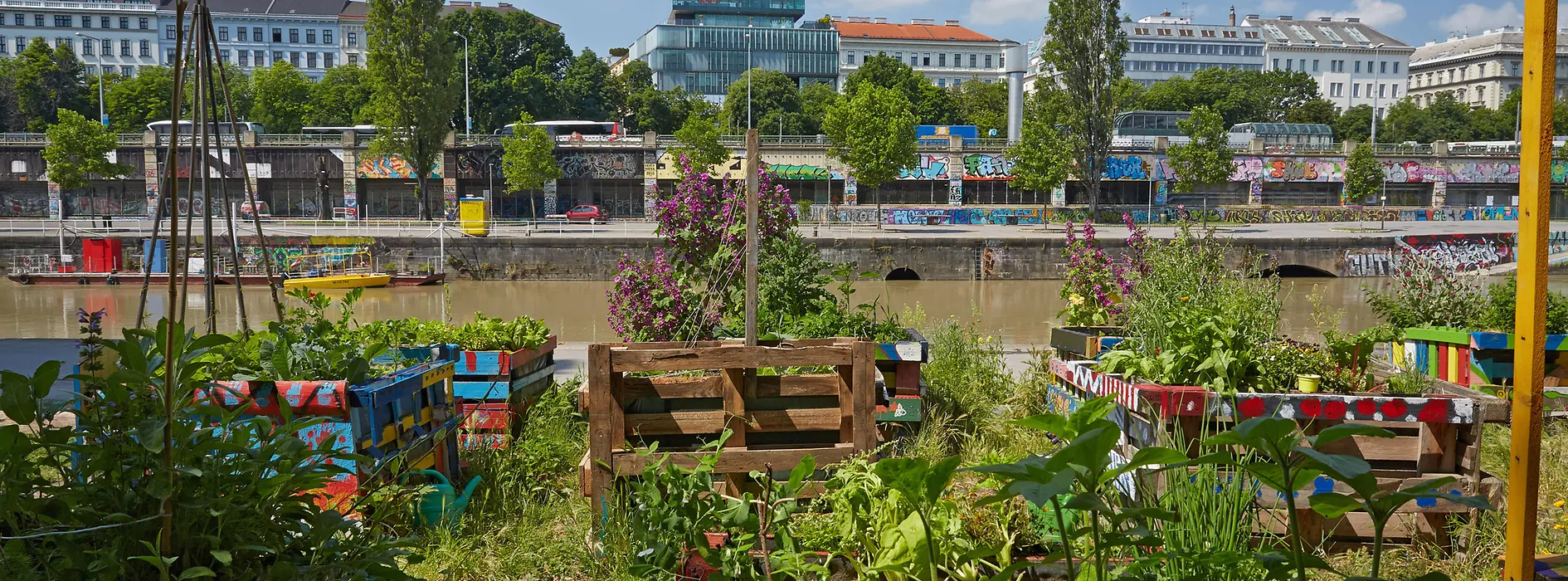 Stadtgarten: Urban Gardening am Donaukanal
